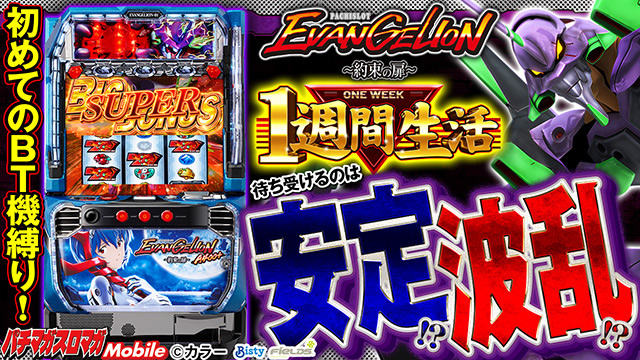 �k�a�p�`�X�� �����@���Q�������`�񑩂̔��` 1�T�Ԑ���