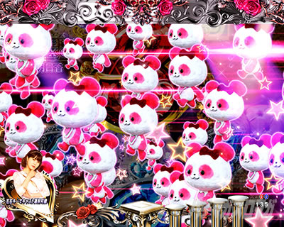 ���u��5 �p�`���R�b�p���_�Q�\���̐M���x��80%