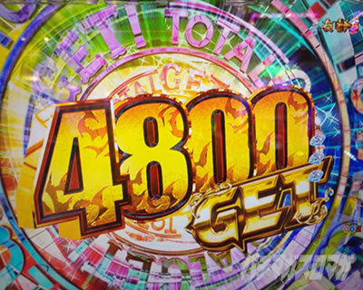 P���p���O�� ONE COLLECTION �p�`���R�b