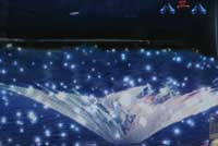 CR�����̎��Y��-�����J-SFW