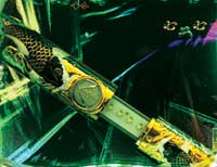 CR�����̎��Y��-�����J-SFW