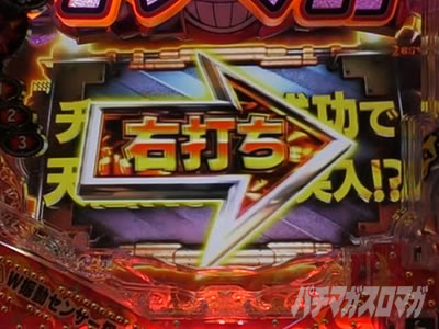 P�_�C�i�}�C�g�L���O�`���GSPEC�`