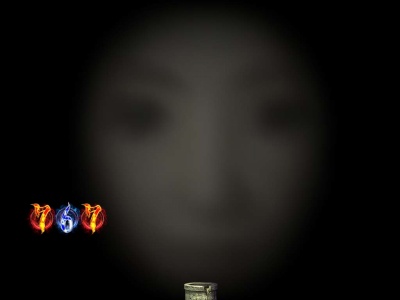 CR�����O �^���̓� FPF