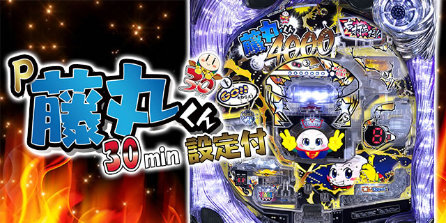 P���ۂ���30minFF �ݒ�t��