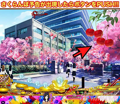 P�n������ ��