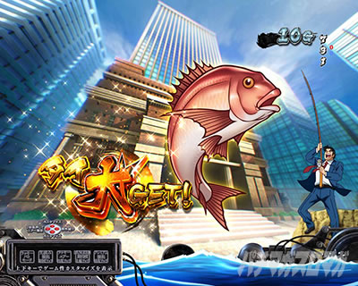 P�T�����[�}�������Y