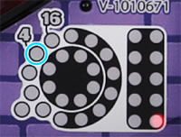 CR���b�^�[�}�� �V�˃h�����{�[�����Q��! H9AZ1