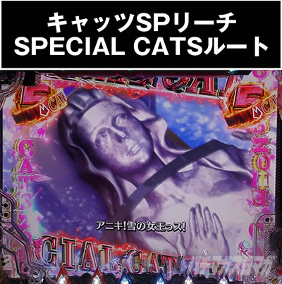 e�L���b�c�A�C SPECIAL�L���b�c���[�g