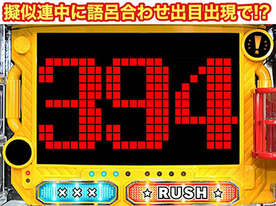 P�p�g���b�V��V RED