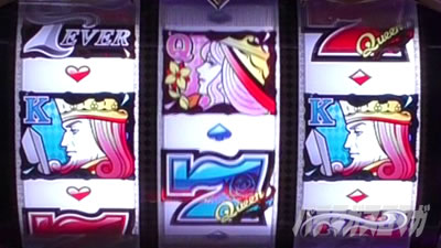 P�t�B�[�o�[�N�B�[��RUSH