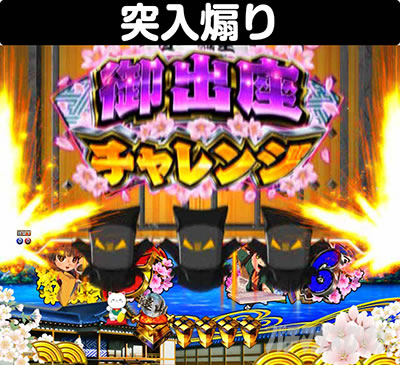 P�V�E���R�̋�����