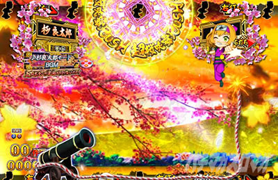 P�V�E���R�̋�����