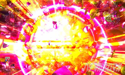 P�V�E���R�̋�����