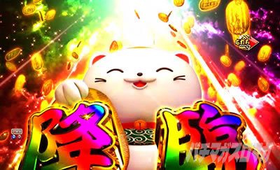 P�V�E���R�̋�����