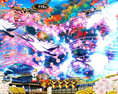 P�V�E���R�̋�����