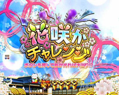 P�V�E���R�̋�����