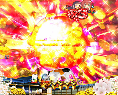 P�V�E���R�̋�����