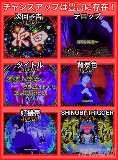 P�^�E�o�W���X�N �b��E�@��