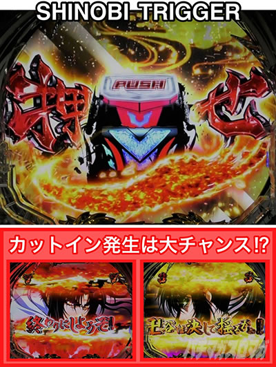 P�^�E�o�W���X�N �b��E�@��