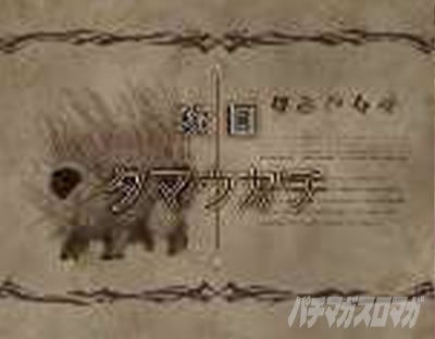 P���C�h�C���A�r�X ���̉����� P�A�r�X �p�`���R�b����\��