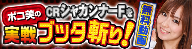 CR�V���J���i�[F(1/144)