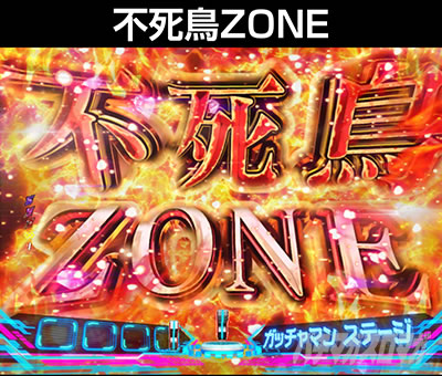 P�^���̃K�b�`���}��