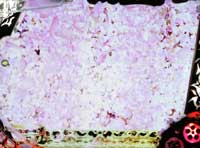 CR�Ԃ̌c���`��