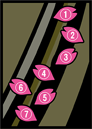 CR�X�^�[�і� �߂蕨��