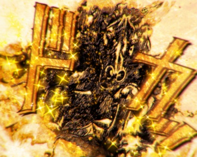 CR�^�E�Ԃ̌c��2