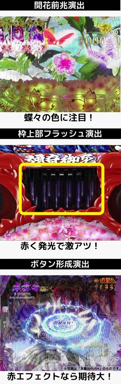 P�^�E�Ԃ̌c��3