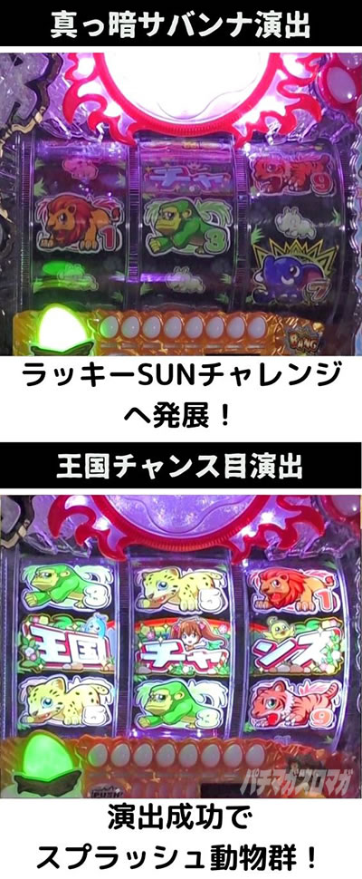 PA�쐶�̉����ǂ�ރT�t�@��N-K1 YT299