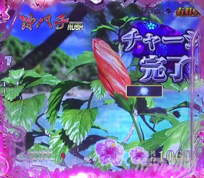 P�^�E�Ԃ̌c��3-������M-