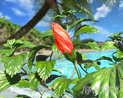 P�^�E�Ԃ̌c��3 99ver�b���p�`RUSH