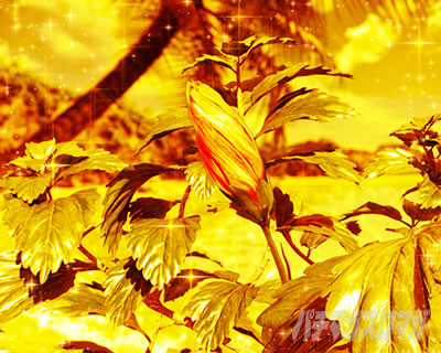 P�^�E�Ԃ̌c��3 99ver�b���p�`RUSH