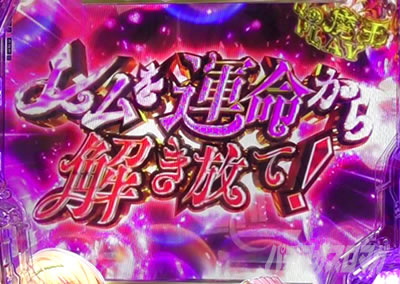 P�ِ��E�����Ə��������̓z�ꖂ�p |��̖���PLAY����