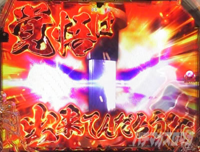 P�^�E�����s���� �p�`���R|���̋��n���o