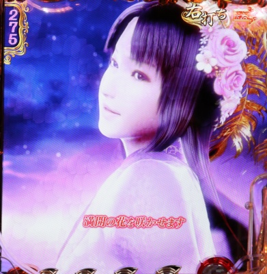 CR���̉Ԗ��JZAST(1/319)