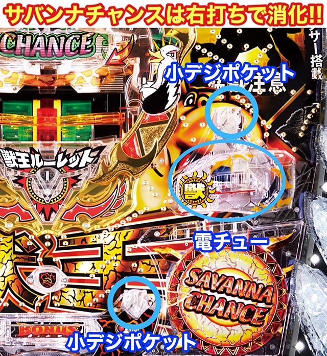 P���n�l�b��