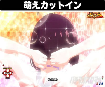 P�b�S��̃J�o�l�� 4000�A��ver.�@�G���J�b�g�C����a��