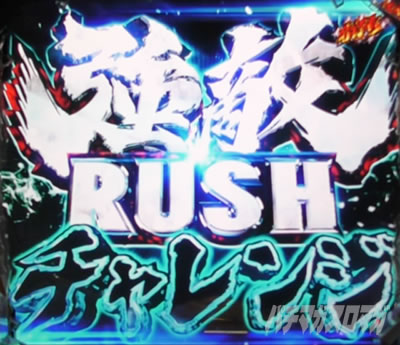 P�k�l�̌� ���G LT�b������