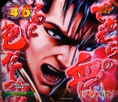 P�k�l�̌� ���G LT�b�Ă߂���̌��͂ȂɐF���\��