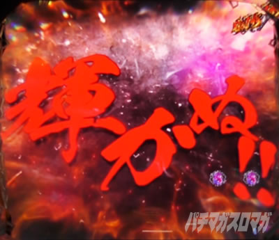 P�k�l�̌� ���G LT�b�V���[�g�o�g�� ��������