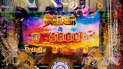 P�������̎q �D�c�O�Y�M���` P��̎q �p�`���R�b���U���g���