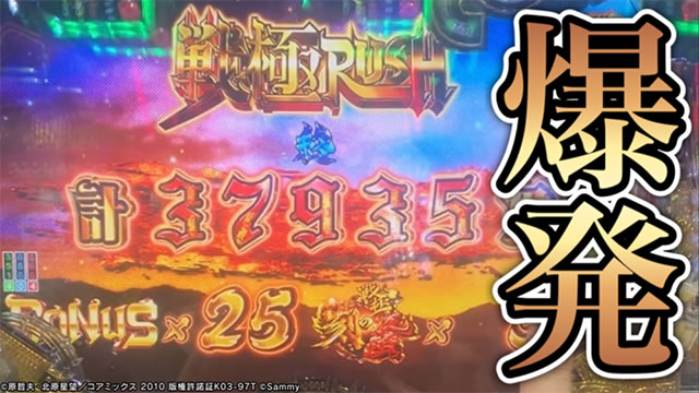 P�������̎q �D�c�O�Y�M���` P��̎q �p�`���R�b�T���l�C��