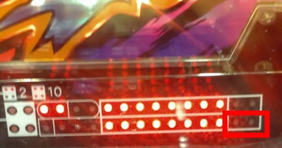 P�������̎q �D�c�O�Y�M���` P��̎q �p�`���R�b|�哖�胉�E���h���