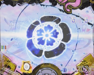 P�������̎q �D�c�O�Y�M���` P��̎q �p�`���R�b�~�b�V�������[�`���`�����X�A�b�v