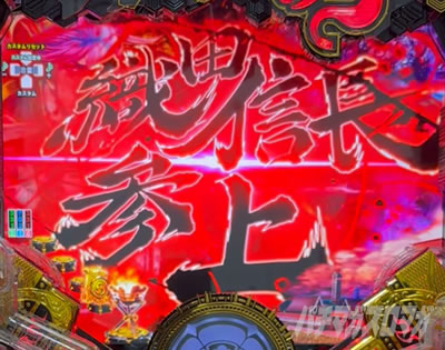 P�������̎q �D�c�O�Y�M���` P��̎q �p�`���R�b���S�ʐ�ǂ�