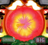 CR���`�ȖA��RED