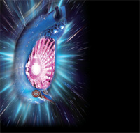 CRF.�F����̓��}�g ������ �����オ�ꃄ�}�g