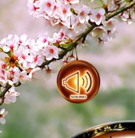 CRF.�^�Ԍ�G(1/297)